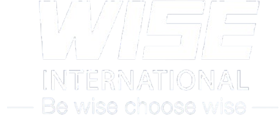 Wise International - Global Career Opportunities | Europe & GCC Jobs